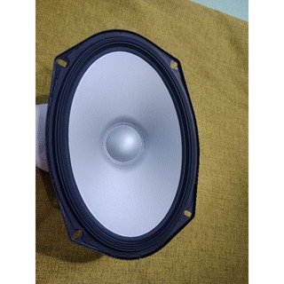 LOA CÁNH 16X24CM HÃNG ALPINE (giá 1 cái)