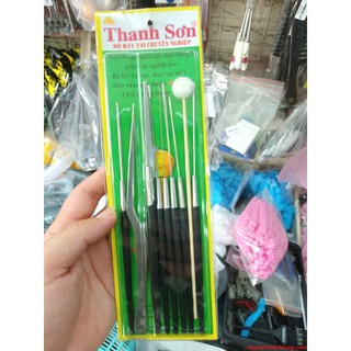 Bộ dụng cụ lấy ráy tai Thanh Sơn 8 món