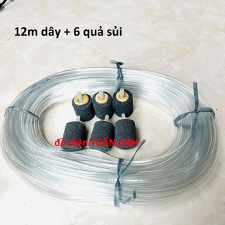 Combo quả sủi + dây oxi cho hồ cá, dây sục khí oxi dây oxi 4ly cho hồ cá