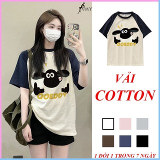 Áo thun nữ chất cotton tay lỡ cổ tròn form rộng, Áo phông nữ unisex hình in sắc nét phong cách năng động AT52