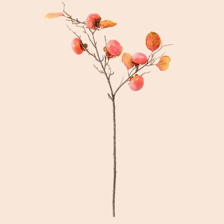 Cành quả hồng 5 quả cao cấp trang trí,decor trung thu,tết