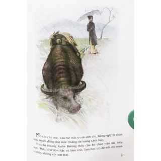 Sách - Từ làng Sen (NXB Kim Đồng)
