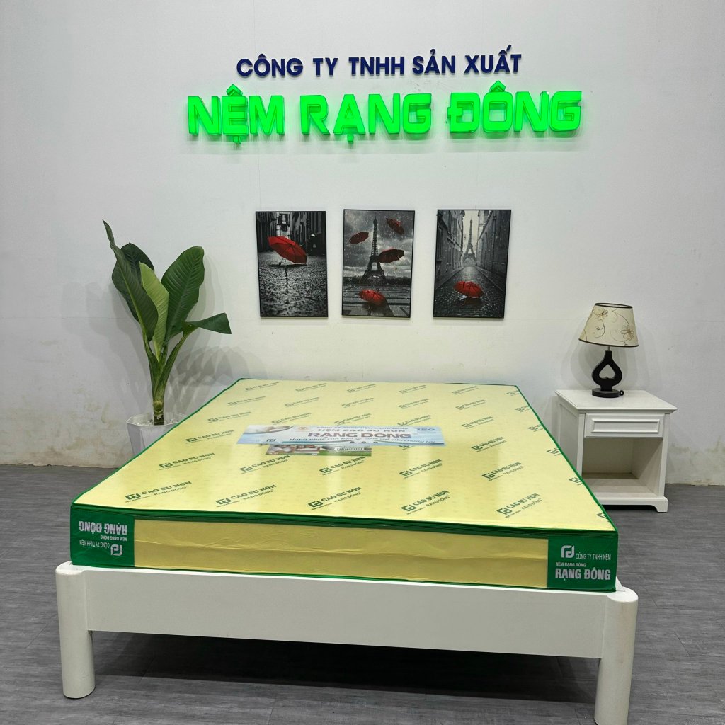 Ship hỏa Tốc 2h Nệm Cao Su non Rạng Đông Bảo Hành Chính Hãng