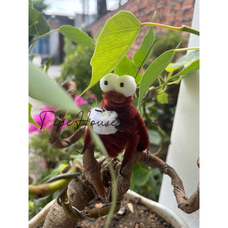 Gián vô tri kẽm nhung