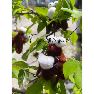 Gián vô tri kẽm nhung