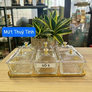 Khay mứt thuỷ tinh 6 ngăn Decor nhám sần viền vàng siêu sang