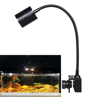 Đèn led kẹp thành hồ cá thủy sinh đèn bể cá phong thủy
