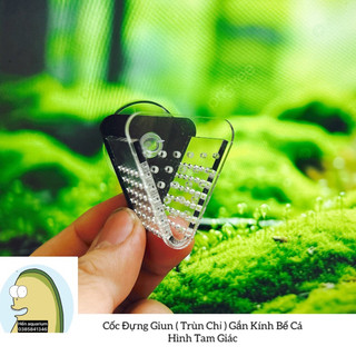 Cốc đựng trùn chỉ / giun cho cá ăn hình tam giác