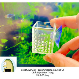 Cốc đựng giun / trùn chỉ cho cá ăn hình vuông