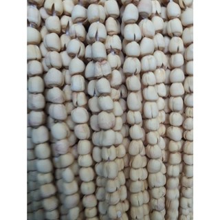 Hạt sen khô hội an - quảng nam. sen hội an ngon, bở, mềm. nấu chè, nấu cháo, hấp cơm, làm sữa,...