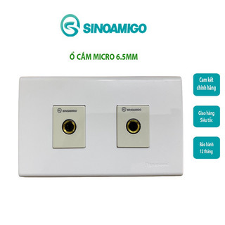 Ổ cắm Micro, Audio jack 6.5mm Âm tường - Giải pháp tiện lợi cho hệ thống âm thanh