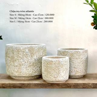 Chậu gốm trồng cây atlantis dáng trụ Tròn Tròn Saigon