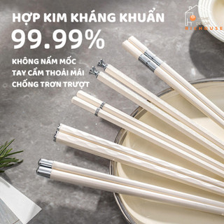 Set 10 Đôi Đũa Ăn Cơm Sợi Thủy Tinh Chống Mốc Kháng Khuẩn Chịu Nhiệt Cao Cấp Phong Cách Hàn Quốc