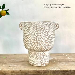 Chậu gốm trồng cây dáng ly cao/ dẹt 2 quai Tròn Tròn Saigon