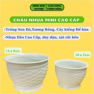 Chậu Nhựa Trắng Mini Đan Mây, Chậu Nhựa Dẻo Cao Cấp, Trồng Sen Đá, Xương Rồng, Cây Kiểng Để Bàn, Chậu Nhựa in Hình
