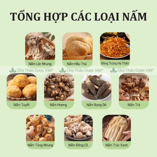 Nấm quý Vân Nam 20 loại tự chọn, nấm nấu canh, lẩu, hầm chim, tần gà tùy chọn - Chợ Thảo Dược Việt