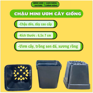 Chậu nhựa đen mini hàng cao cấp ,chậu ươm cây, trồng sen đá ,xương rồng cây kiểng