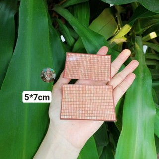 Mô hình chiếu mini size 5*7cm