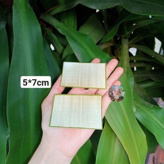 Mô hình chiếu mini size 5*7cm