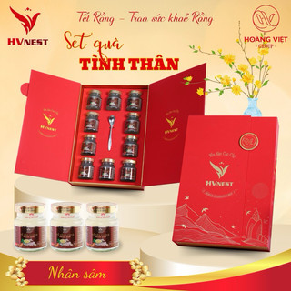 Yến sào hoàng việt. quà tết - quà biếu. yến chưng nhân sâm