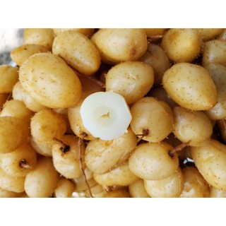 Củ lùn loai ngon 1kg