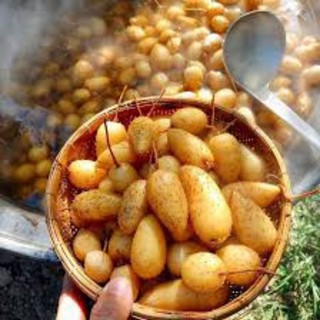 Củ lùn loai ngon 1kg