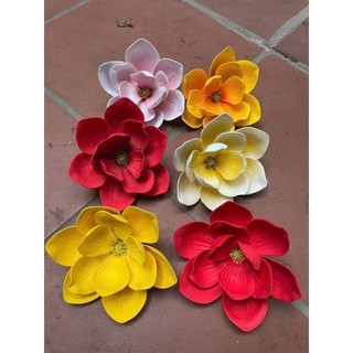 Hoa mộc lan