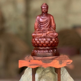 Tượng Phật Thích Ca Mâu Ni Gỗ Trắc Nguyên Khối