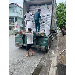 Gạo Thơm Lài Víp