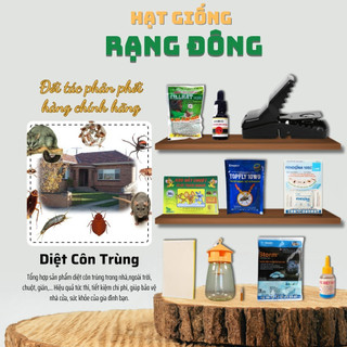 Thuốc Diệt Côn Trùng - Thuốc diệt kiến, gián, ruồi, chuột,... dùng trong nhà và ngoài vườn - Hạt giống Rạng Đông