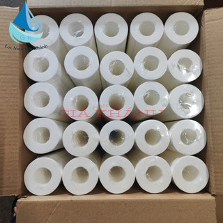25 lõi lọc thô 20 inch hàng đẹp.