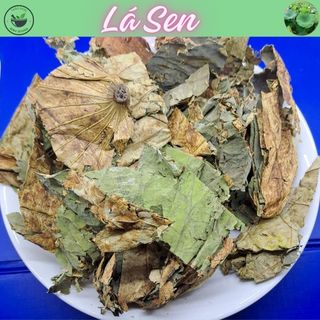 Lá Sen, túi 500g và 1kg lá xanh sấy khô, hàng mới, thơm ngon