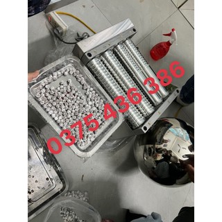 Máy vo viên bánh nhãn, bánh bi, trân châu 6/8/10mm st106 inox hoàn toàn