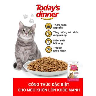 (1KG) THỨC ĂN HẠT TODAY'S DINNER CHO MÈO