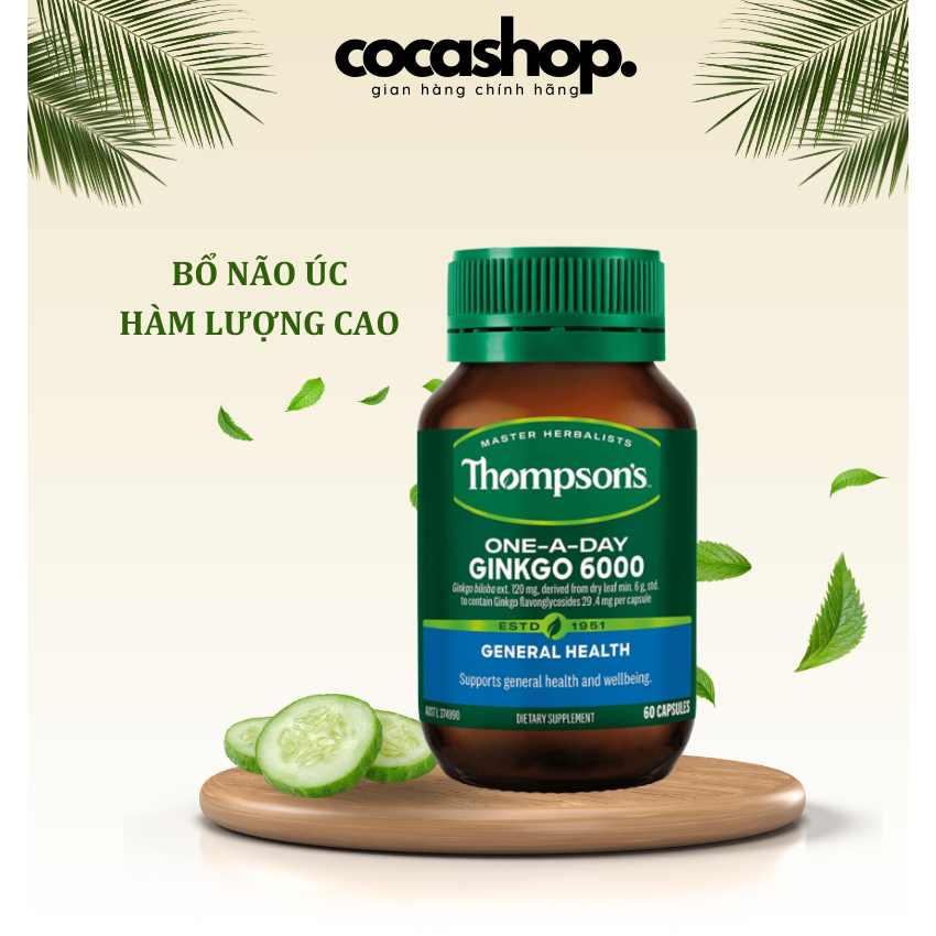 Bổ não Úc hàm lượng cao Thompson’Ginkgo 6000mg - Nội Địa Úc - Tăng cường trí nhớ, hỗ trợ tiền đình, chóng mặt