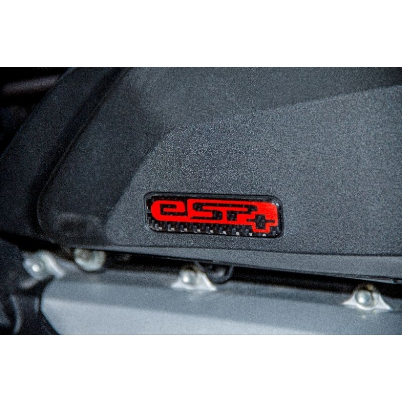 TEM NŐI ESP ĐỎ DÁN PÔ E Đúc Sợi CarbonFiber Cao Cấp