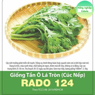 Hạt giống tần ô lá tròn, cúc nếp 20gr