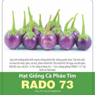 Hạt giống cà pháo tím Rado73, đóng gói 0.5gr