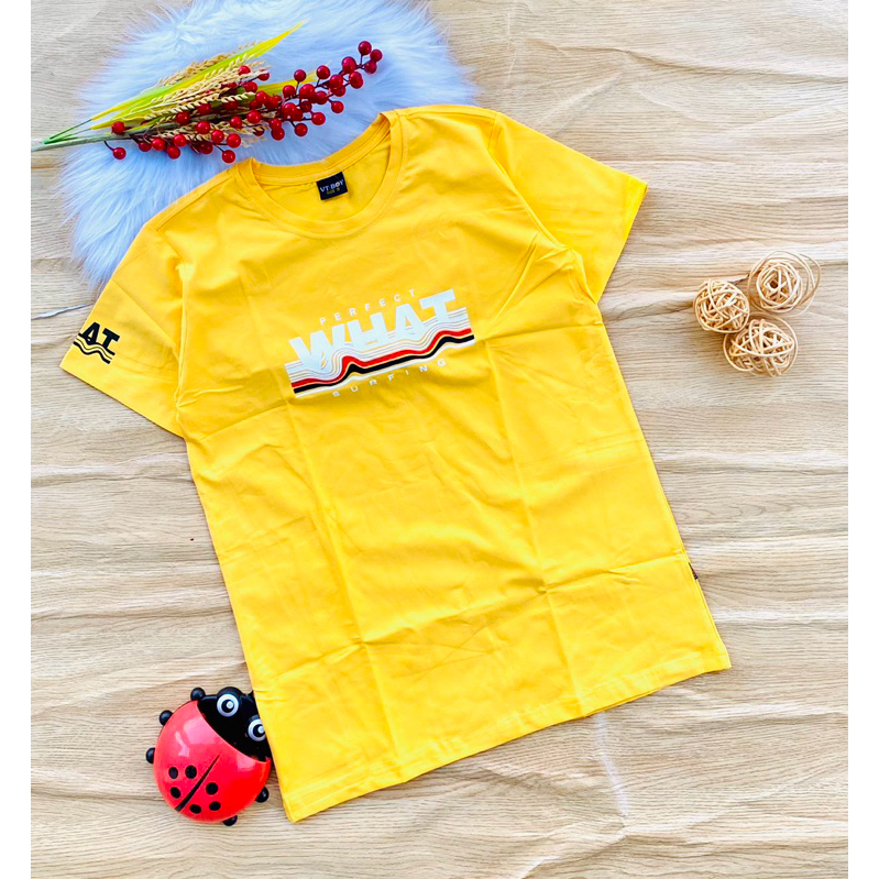 💥 Áo Cotton hàng shop bé trai từ 45-70kg