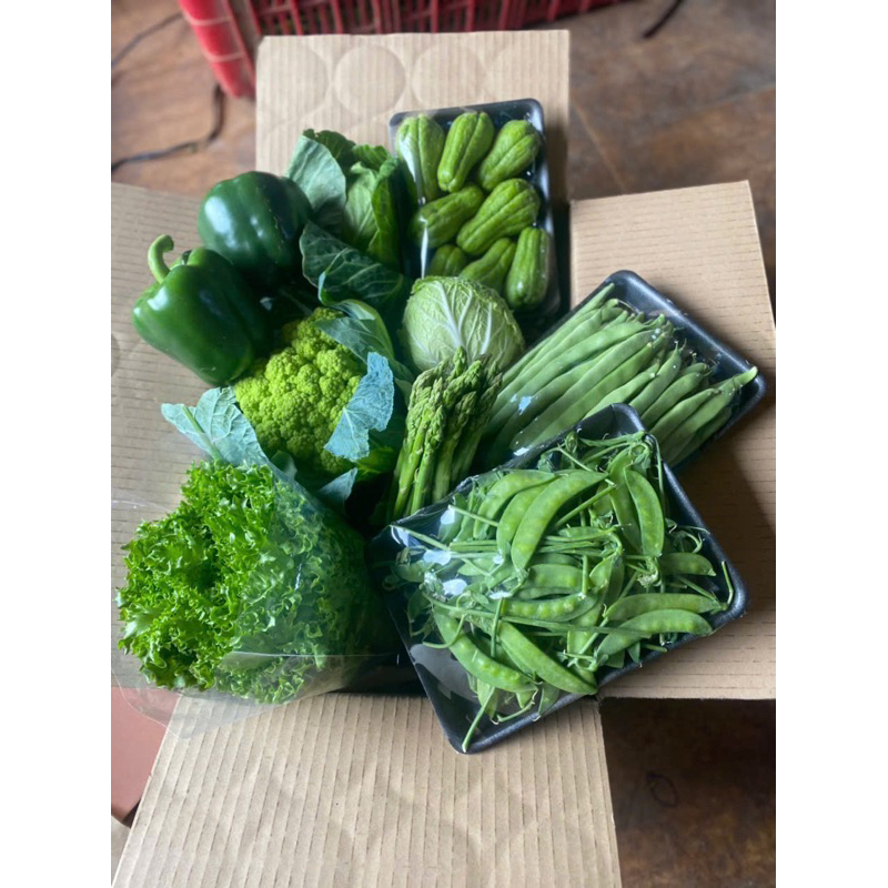 [SHIP SÀI GÒN ]COMBO RAU CỦ ĐÀ LẠT