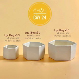Chậu Trồng Sen Đá, Xương Rồng, Cây Cảnh Để Bàn, Cây bonsai Hình Lục Giác