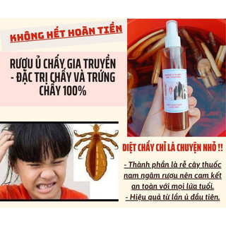 Ủ chấy gia truyền - ủ 1 lần hết chấy