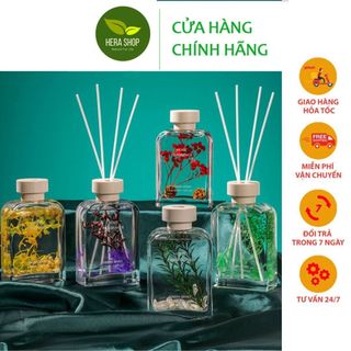 Tinh Dầu Để Phòng Thiên Nhiên Lọ Khuếch Tán Nước Hoa Thơm Phòng Ngủ Thơm Nhà Khử Mùi KT56 50ML
