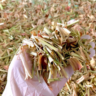 Trà Cam Sả Thảo mộc, hộp 100g