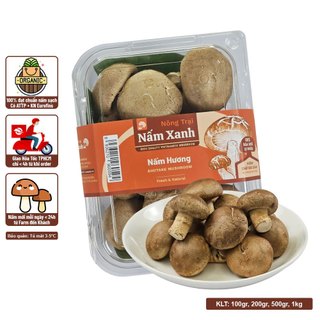 Nấm hương tươi 100gr 200gr ngon ngọt giàu dinh dưỡng - nấm xanh