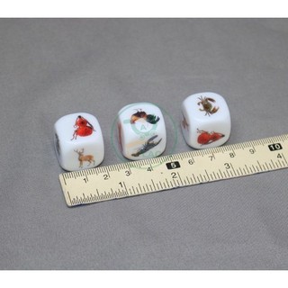 Bộ Trò Chơi Bầu Cua (1Bộ)