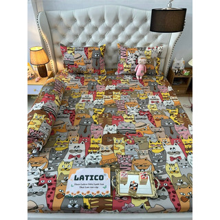 Ga gối thun siêu lạnh lụa Latico ( nhiều mẫu )