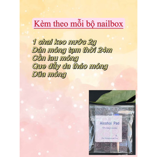 Nailbox thiết kế B66 form ngắn cute
