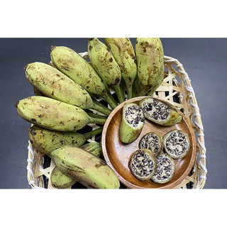 cây chuối hột (gốc giống)