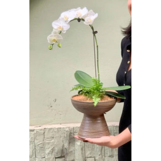 Bình Ly mặt hồ